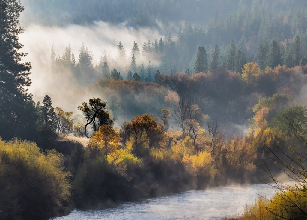 Melting Mist - Vivian Mcaleavey